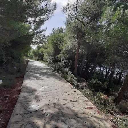 Apartmantaja Lejlighed *